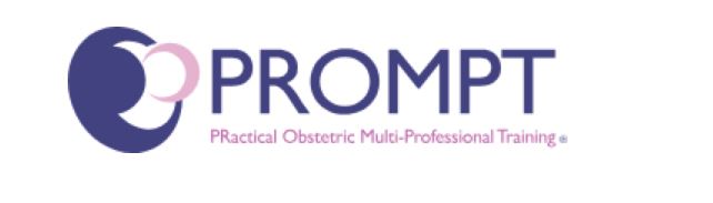 Prompt logo