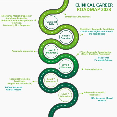 career progression roadmap